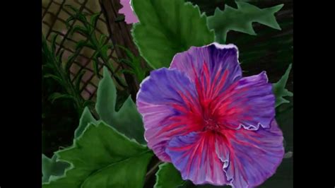 The Purple Hibiscus a freehand digital drawing - YouTube