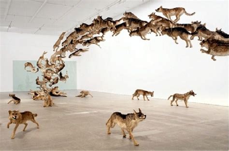 Cai Guo-Qiang Wolves and Flowers at Yokohama Museum of Art | Artcentron