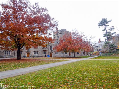 Fall Foliage in Princeton University Campus - Travel Realizations