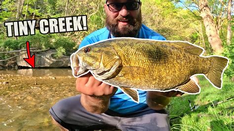 Fishing TINY Creeks for BIG Smallmouth Bass! – Ohio River Tributaries – Bass Manager | The Best ...