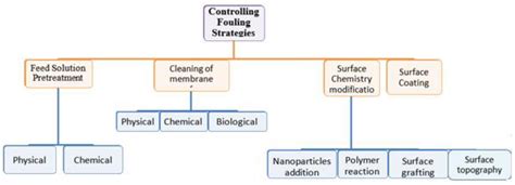 Processes | Free Full-Text | Cellulose Acetate Membranes: Fouling Types and Antifouling ...