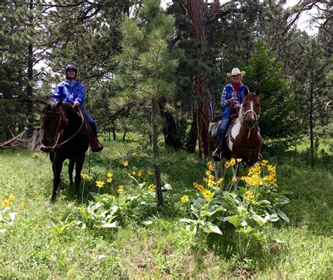 Montana Cowgirl Camp, Bell Tents, Utica, United States of America | Glamping Hub