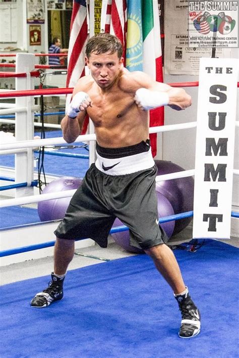 Pin by Michelle Eich on Boxing (With images) | Gennady golovkin, Boxing ...