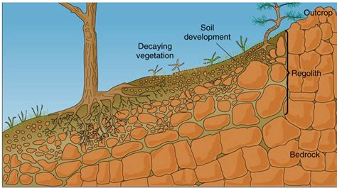 Weathering in soils