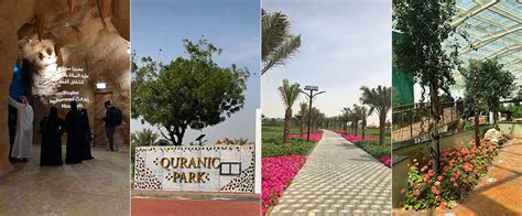 The beautiful Quranic Park in Dubai is now open - what's on dubai