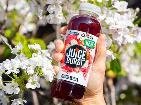 NEW JUICE BURST SUMMER FRUITS 500ml (12 pack) – Juice Burst