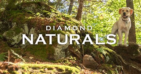 Diamond Naturals Dog Food | Diamond Pet Foods