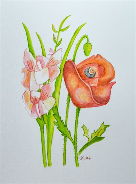 Gladiolus and Poppy, August Birthday Flower, Original Watercolor ...