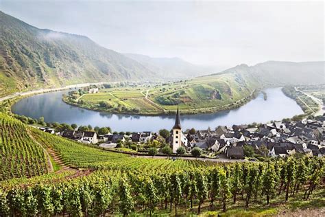 Germany Wine Festivals | DMR Travel