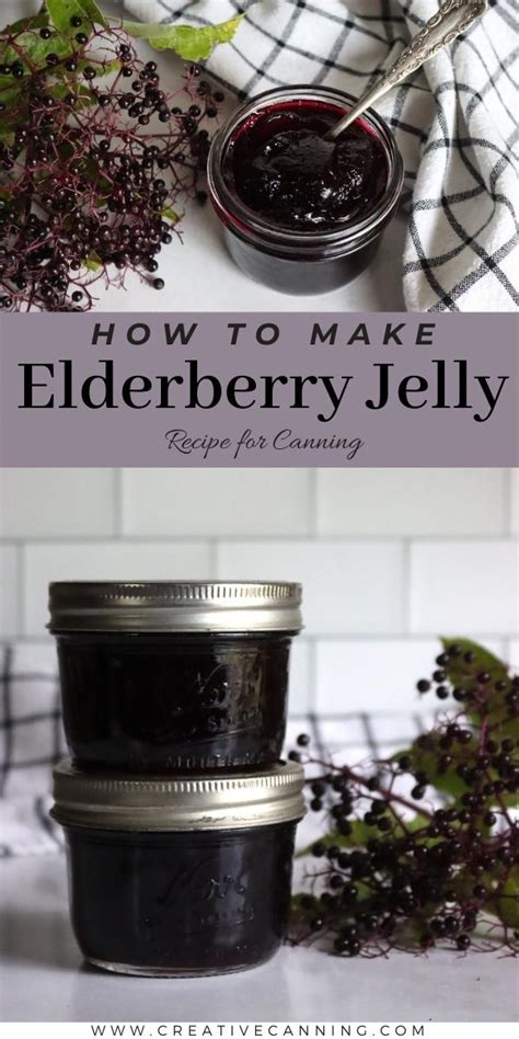 Elderberry Jelly - Creative Canning