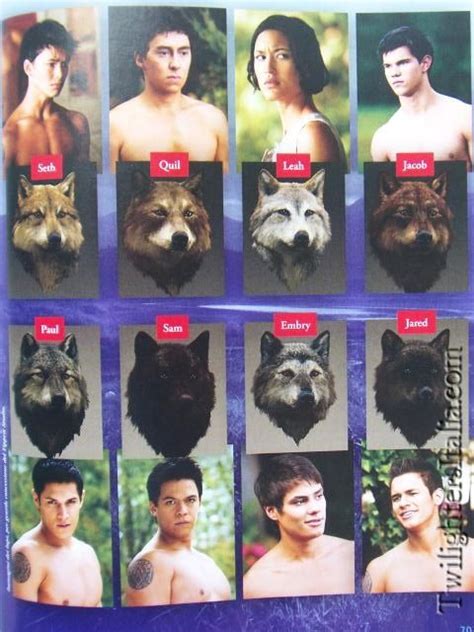 twilight saga wolves - Google Search | Twilight wolf, Twilight jacob ...