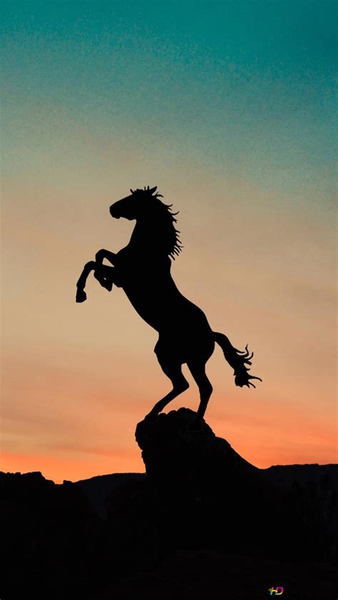 Horses In The Sunset Wallpaper