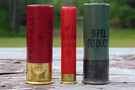 Birdshot Vs Buckshot Wound : Shooting Industry Magazine Buckshot Vs Birdshot Shooting Industry ...