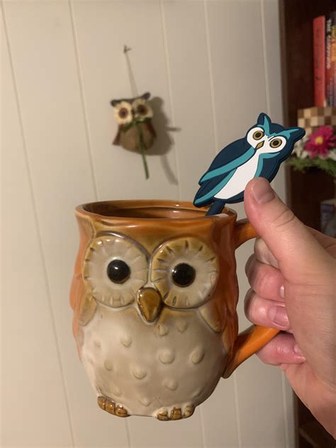 Anyone else obsessed with owl merch? : r/Owls