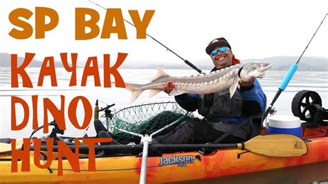 Kayak Sturgeon Fishing at San Pablo Bay - YouTube