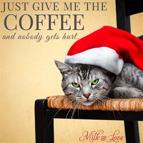 7 Funny Christmas Memes to make you laugh - Milk and Love