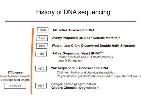 PPT - DNA sequencing: methods PowerPoint Presentation, free download ...