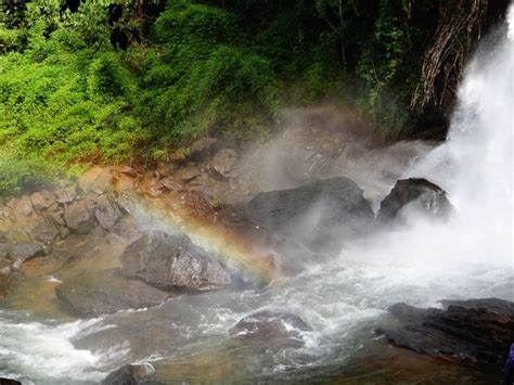 Wayanad: Natures Paradise - Tripoto