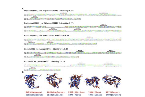 Template references used to excise the RdRp core domain. (A) Pairwise... | Download Scientific ...