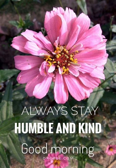 Stay Humble Wallpapers - Top Free Stay Humble Backgrounds - WallpaperAccess