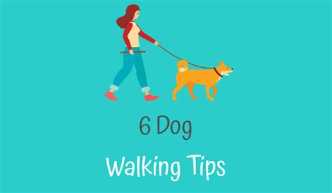 6 Dog Walking Tips - Aquapaws