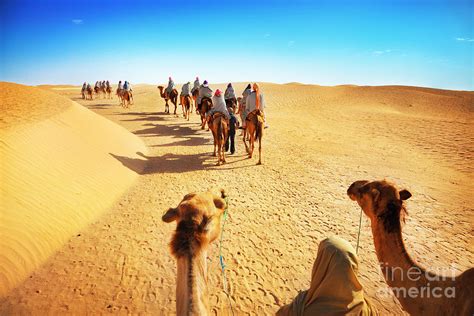 People In The Sahara Desert Photograph by Adisa | Pixels