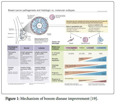 Advances in Cancer Prevention - Recent Advances in the Chemotherapy of ...