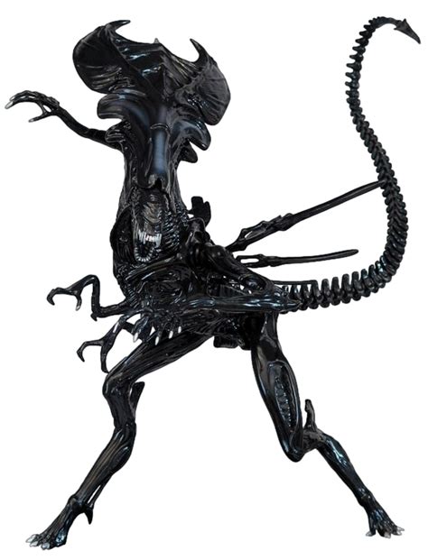 Xenomorph Queen - Transparent! by SpeedCam on DeviantArt