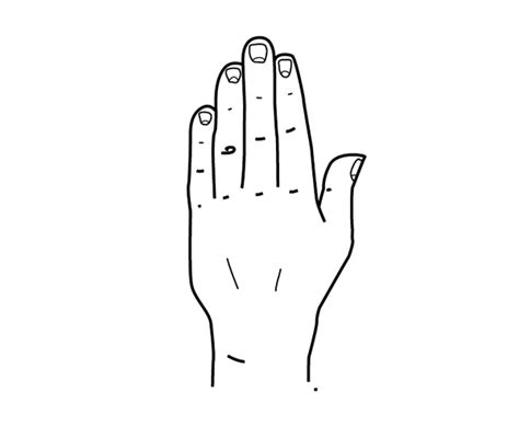 Quick Tip: How to Draw a Hand Based on Geometric Shapes | Envato Tuts+