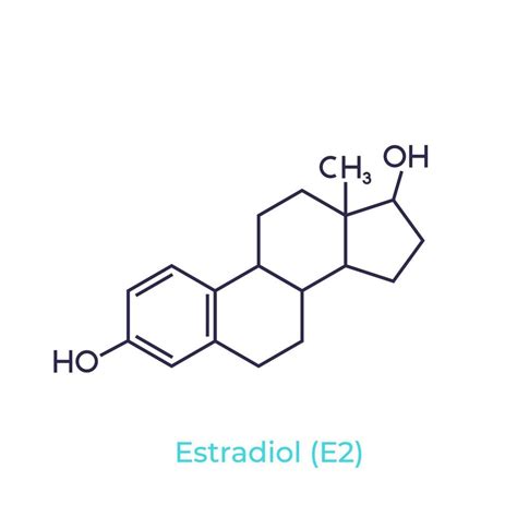 Estradiol molecule on white, vector 2204619 Vector Art at Vecteezy