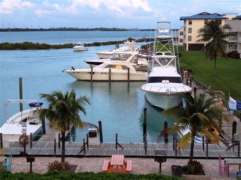 several boats are docked in the water next to some buildings and palm trees on the shore