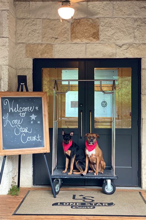 Pet Friendly Austin Hotels | Dog Friendly Hotels at The Domain