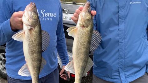 Mille Lacs Lake Walleye and Smallmouth Bass Fishing Report (Opener 2023)