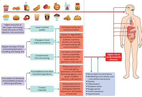 Time to inform the public about the adverse effects of ultra-processed foods, researchers say