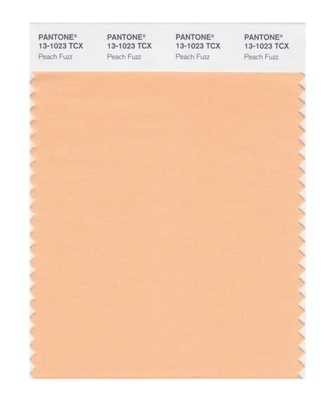 Peach Fuzz is the Pantone Color of the Year - Los Angeles Times