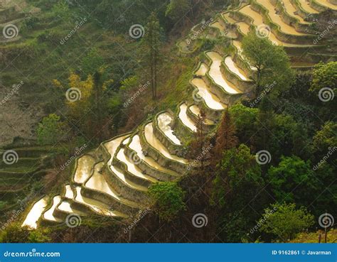 Rice Terraces Of Yuanyang, Yunnan, China Stock Image - Image: 9162861