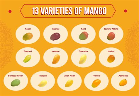 The King Of Fruit: 13 Mouthwatering Mango Varieties - Sukhi's