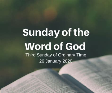 Sunday of the Word of God | Diocese of Waterford & Lismore