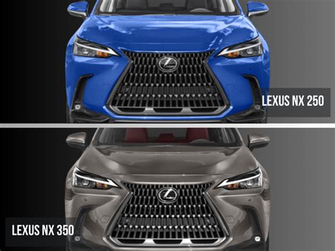 Lexus NX 250 vs. Lexus NX 350 | Comparing NX Models | DARCARS Lexus of ...