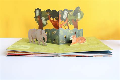 Illustrated Animal Pop-Up Book on Behance