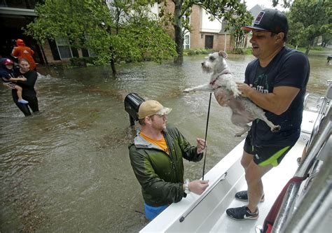 How to save your pet’s life in a natural disaster