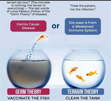 The Terrain Theory vs. The Germ Theory