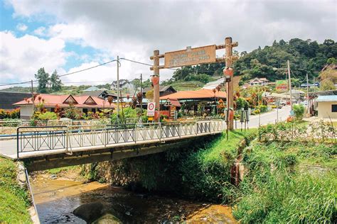 Cameron Highlands attractions: the ultimate travel guide - CK Travels