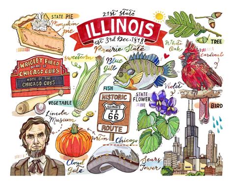 Illinois Print State Symbols Home Decor Illustration the | Etsy