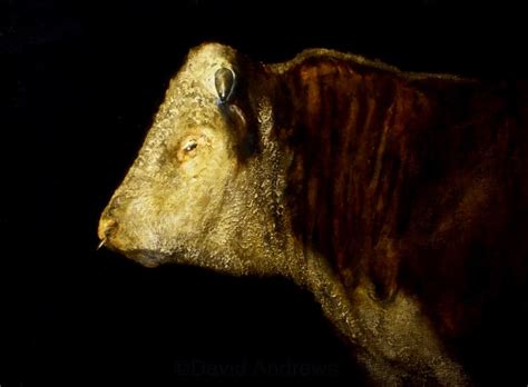 Hereford Bull Cattle Cow Art Print Original Painting by - Etsy UK