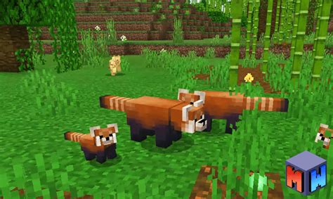 Red Panda Add-On (Bedrock) Minecraft Mod