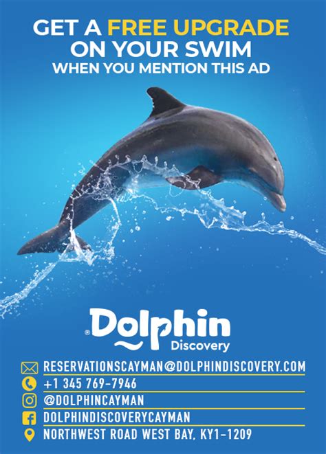 article_7087 - Dolphin Discovery