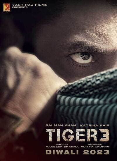 Tiger 3 movie review & film summary (2023) | Roger Ebert