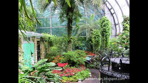 Singapore Changi International Airport Butterfly Garden - YouTube