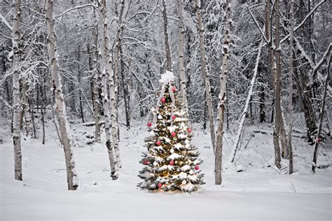 What Happens to White Christmases as the World Warms? | Scientific American